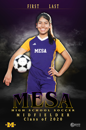 Mesa Soccer